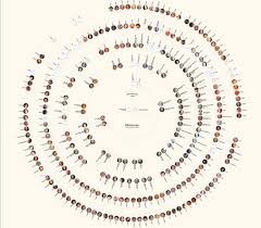 How To Create Beautiful Family Tree Charts On Myheritage And