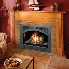 Gas Fireplaces Logs Stoves Inserts