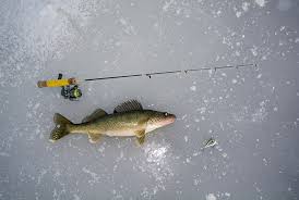Icing Walleye With The Right Rod