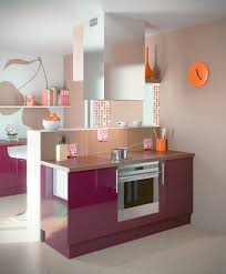 Découvrez nos conseils peinture meuble cuisine et idée couleur. Cuisine Prune Une Couleur Tendance Pour Un Amenagement Parfait
