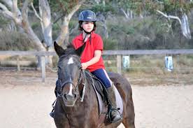 riding lessons the saddle c