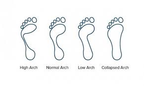 Ideally, the arch of your foot curves slightly upward, which balances weight and impact optimally and keeps your foot muscles and ligaments healthy. Foot Types Foot Arches Types Of Feet Footbalance Uk