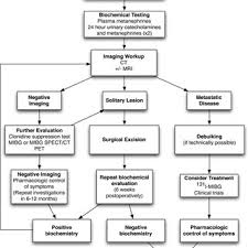 Flowchart Of Diagnosis And Management Of Pheochromocytoma