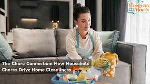 household cs and cleanliness the