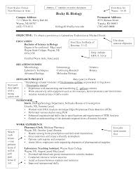 Free Resume Templates   Font Size Sample Type Microsoft Sans Serif         resume fonts to use rhapsodymag   fonts to use for resume    