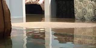 Basement Flood In Atlanta