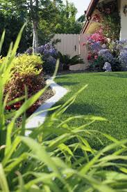 Artificial Grass The Pros And Cons