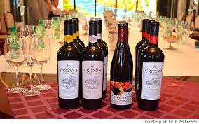 Image result for Moldova winery