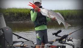 Image result for fishing pliers and lip grip benefits