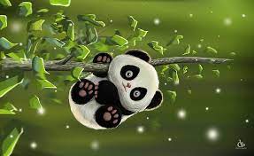 cute baby panda 1080p 2k 4k 5k hd