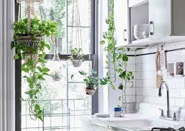 You may be considering decorating above kitchen cabinets if you don't have cabinets or cupboards that reach to the ceiling in your home. Decorating Above Kitchen Cabinets What S In What S Out In 2021