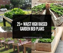 25 waist high raised garden bed plans