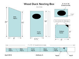 The wood duck (aix sponsa) is a colorful bird that usually nests in abandoned woodpecker holes, but will readily take to a nesting box of the plan shown here explains how to divide the wood (click on the image to enlarge). How To Build A Wood Duck Nest Box Feltmagnet Crafts