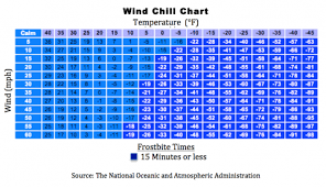 Wind Chill Bloomington Public Schools District 271