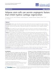pdf adipose stem cells can secrete angiogenic factors that inhibit hyaline cartilage regeneration