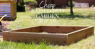 raised bed garden ideas the