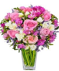 Fiori e piante online a padova fiori san valentino. Bouquet Di Rose E Fresie Idea Regalo Compleanno Per La Tua Mamma