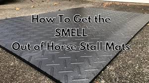 the smell out of horse stall mats