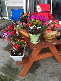 Picnic Table Plant Stand Plant Stand