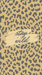 stay wild cute cheetah print wallpaper