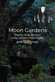 Plant Your Own Ethereal Moon Garden