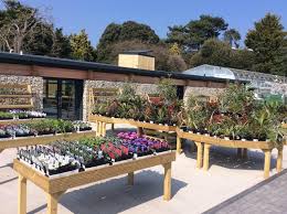 garden centres in poole garden centre