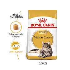 royal canin maine best in