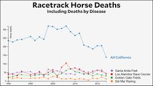 Racetrack Deaths At Santa Anita Were Not Bad Last Year