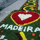 Festa da Flor na Madeira | Funchal