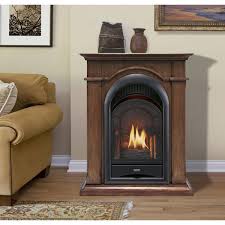 Procom Ventless Gas Fireplace Dual