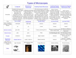 Plant Tissue Microscope Lab