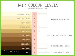 Image Result For Hair Color Levels 1 10 Chart In 2019 Box