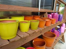 Image result for free small colorful container for plant stock photos