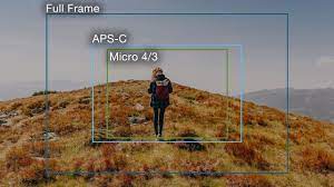 full frame vs aps c vs micro 4 3 cz
