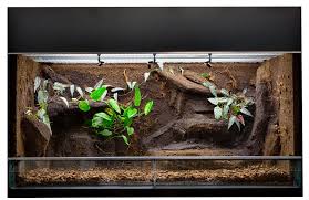 Best Snake Bedding What Substrate