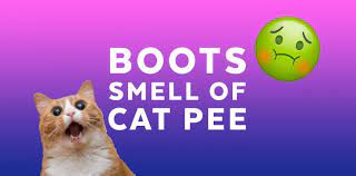 football boots smell of cat