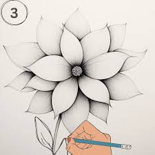 how to draw a flower a beginner s