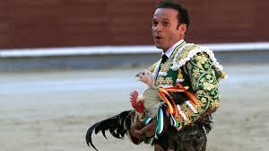 Ferrera se encerrará con seis toros de Zalduendo el 24 de octubre en  Badajoz - Toros - COPE