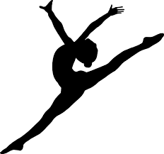 gymnastics celinemarie org