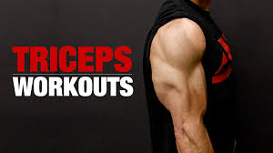 tricep workouts ultimate guide to