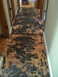 st louis wood floor repair homestead