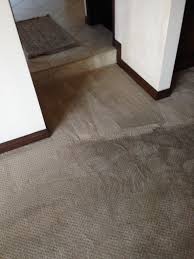 orange county carpet cleaning local