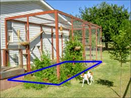 build an outdoor cat enclosure or catio