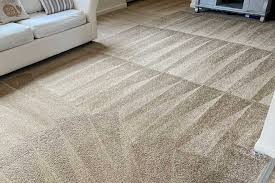 real clean carpet care carpet