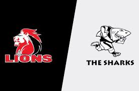 lions vs sharks urc stats facts and