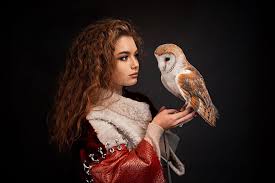 hd wallpaper owl bird portrait