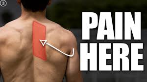 rhomboid pain shoulder blade