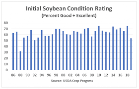 Initial U S Soybean Crop Ratings Point To Challenging