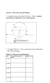 Solved Activity 3 The Cell Cycle And Mitosis 1 Complet