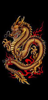 chinese dragon hd wallpapers pxfuel